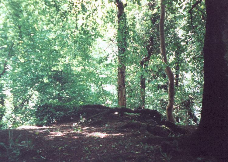 Soldier`s Grave