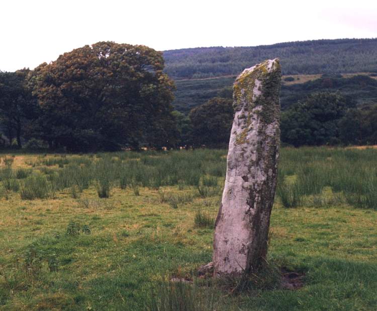 kilm5ahi.jpg (58769 bytes)