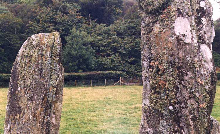 kilm5chi.jpg (79853 bytes)