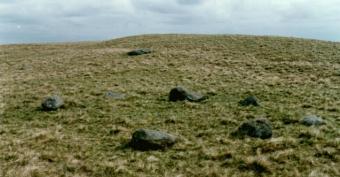 bleaberryhaws5.jpg (14164 bytes)