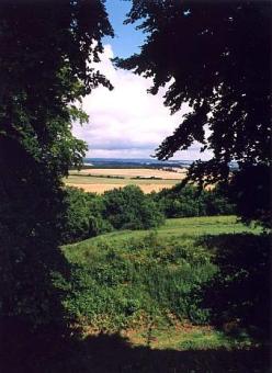 daneb2.jpg (18328 bytes)