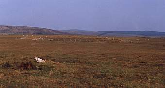 khall3.jpg (8206 bytes)
