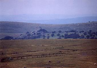 merr10.jpg (10261 bytes)