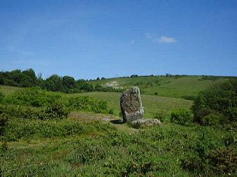 mott1.jpg (17121 bytes)