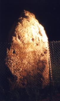 stnn9.jpg (11864 bytes)