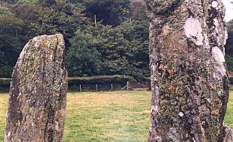 kilm5c.jpg (21048 bytes)