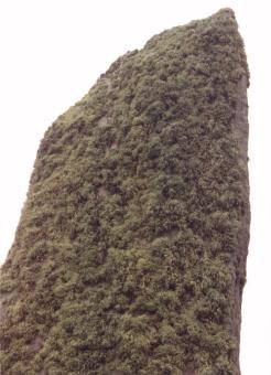 lewis1b.jpg (16720 bytes)