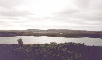 pobull10.jpg (12067 bytes)