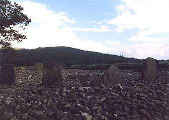 templ2.jpg (13276 bytes)