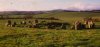 Ballynoehi.jpg