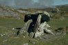 arderawinny1hi.jpg