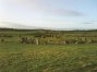 ballynoe2hi.jpg