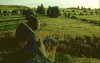 beaghmore1hi.jpg