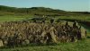 beaghmore2hi.jpg