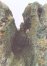 hawk_stone_dave_1_10hi.jpg