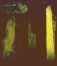 loughcrew_cairn_lhi.jpg
