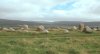 machrieahi.jpg