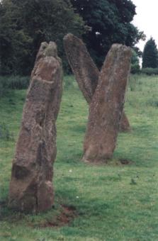 artsw1.jpg (13001 bytes)