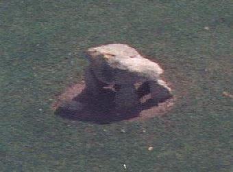 cs6ae.jpg (9467 bytes)